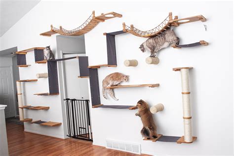 10 DIY Cat Climbing Wall Plans for Your House (With Pictures)